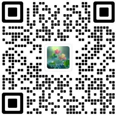 中国钱币杂志模板